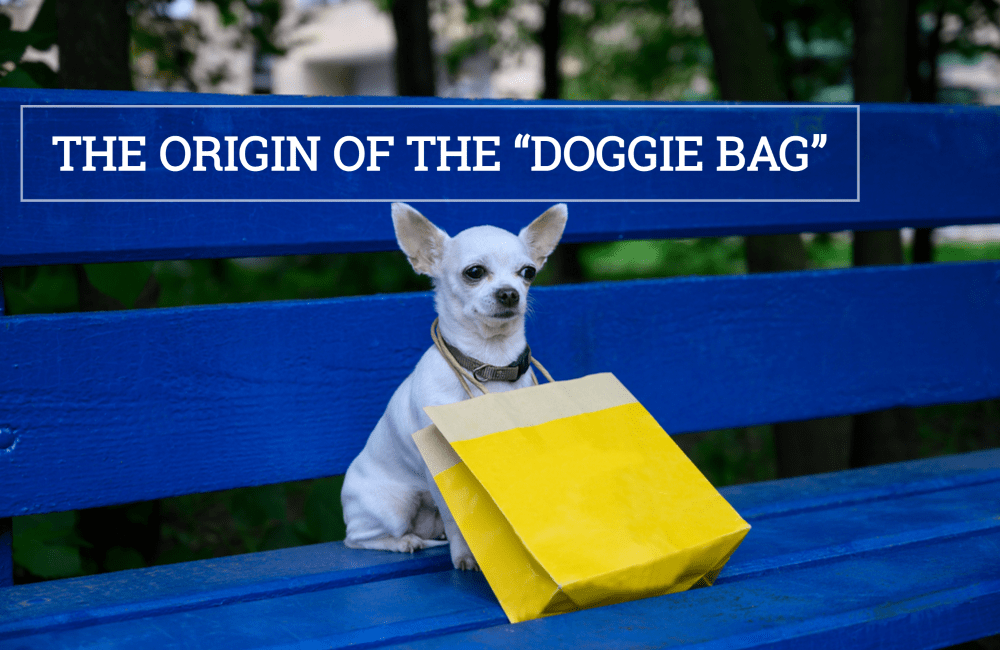 Where does doggie bag come from?